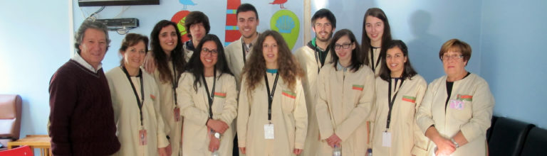 Voluntariado