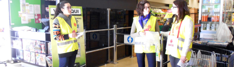 Voluntariado